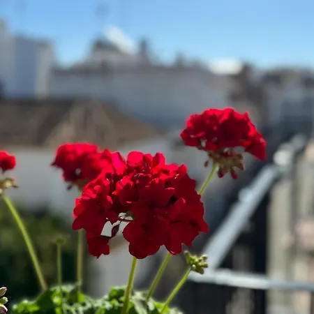 Apartmán Encantadora Casa En El Corazon De Estepona